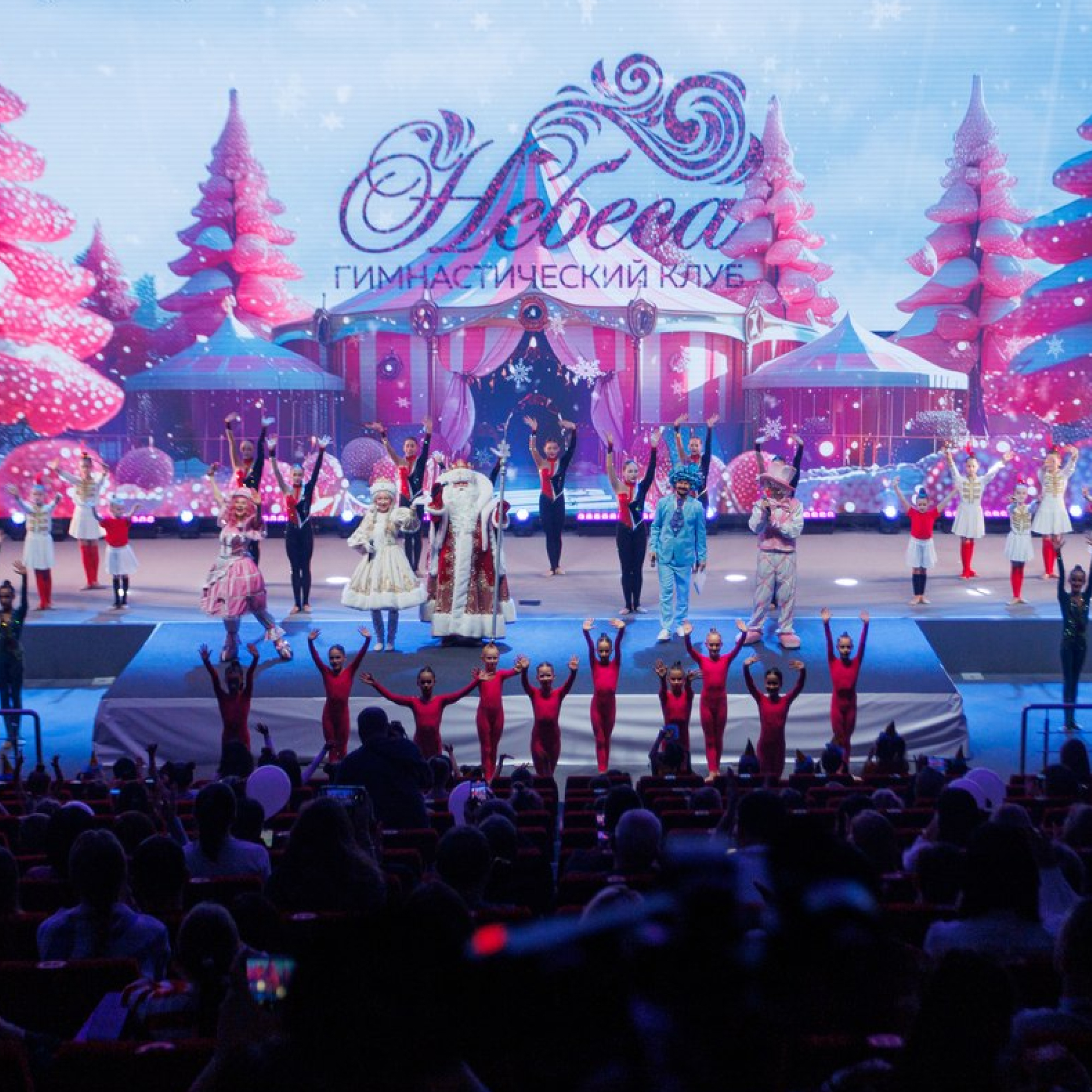 Гимнастический клуб «Мои небеса»